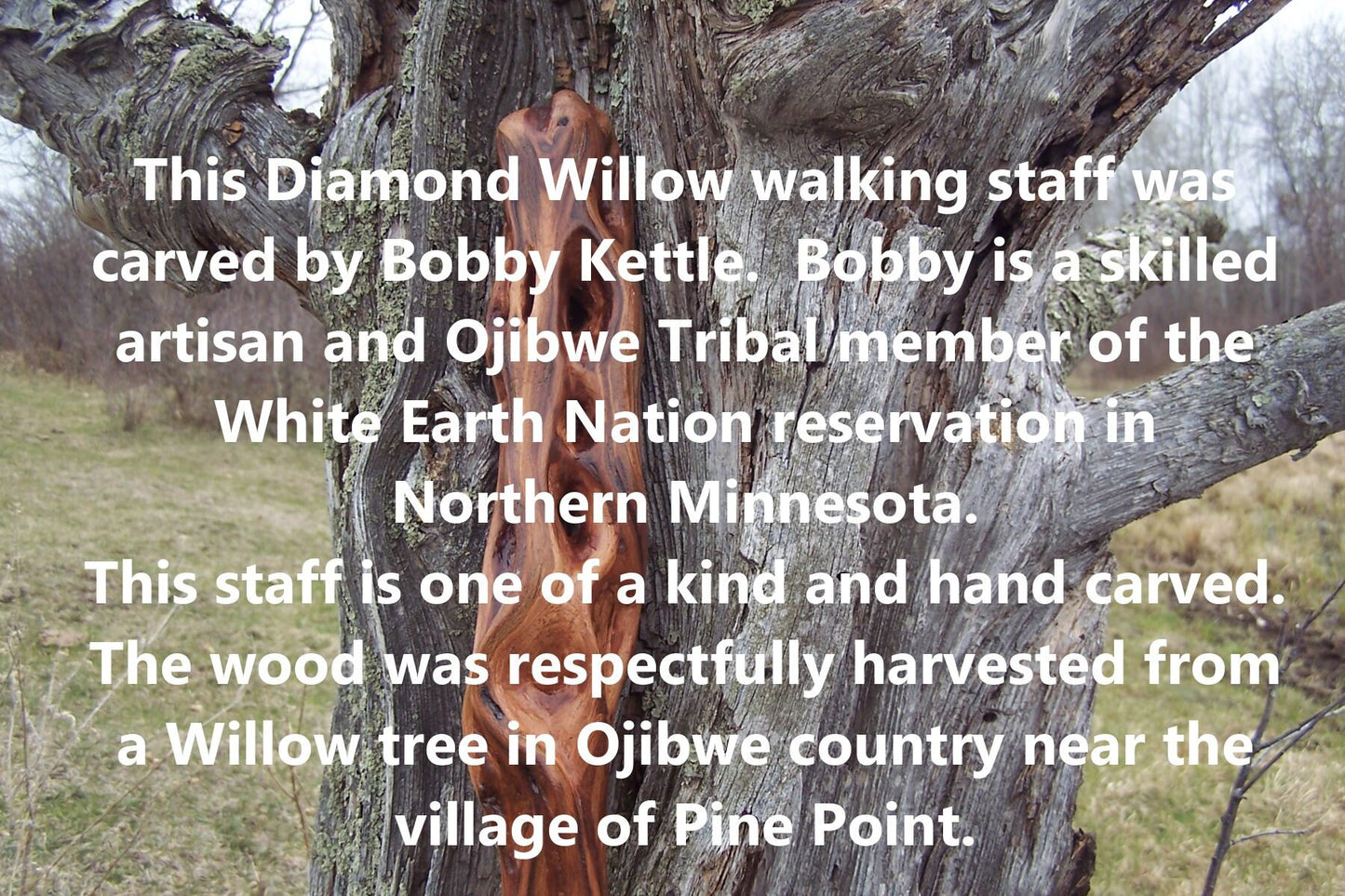 41 Inch Diamond Willow Hiking Staff - Indigenous Carving