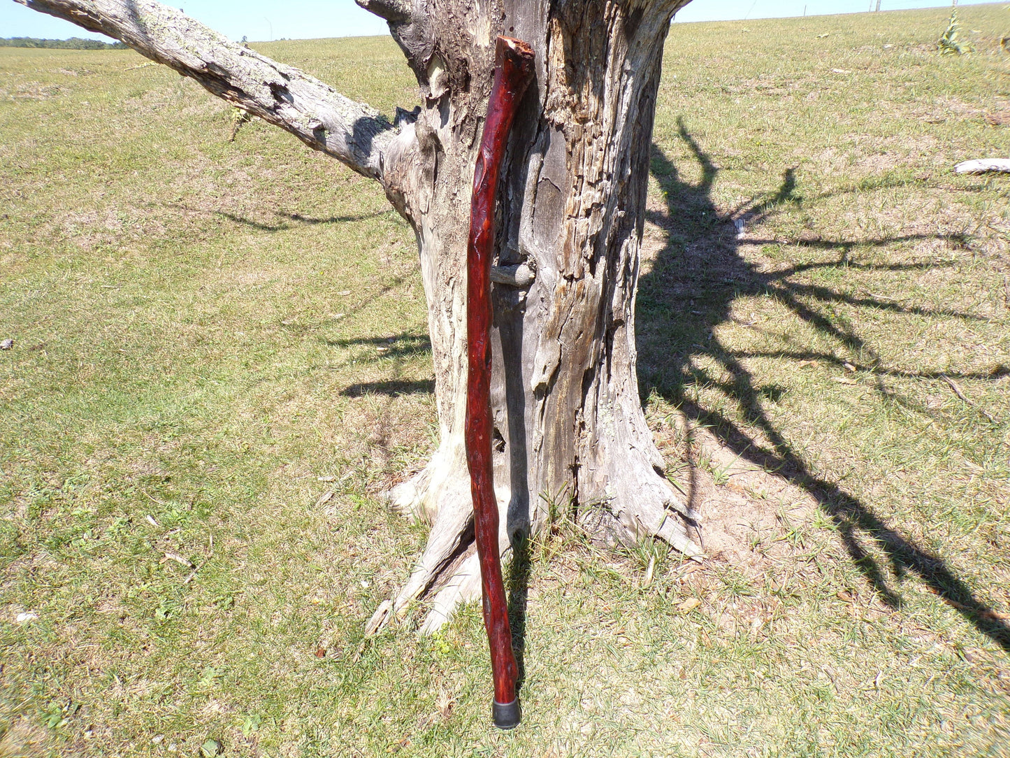 41 Inch Diamond Willow Hiking Staff - Indigenous Carving