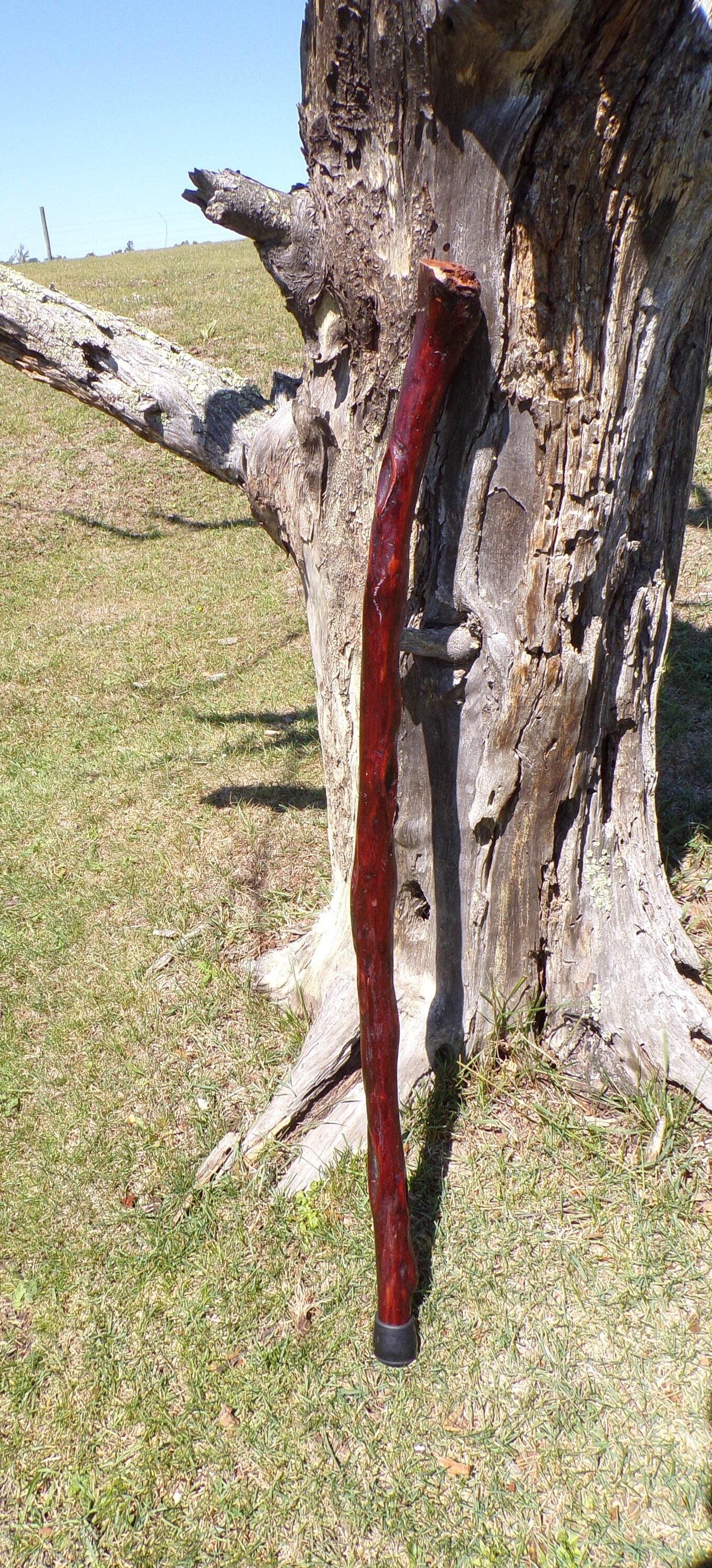 41 Inch Diamond Willow Hiking Staff - Indigenous Carving