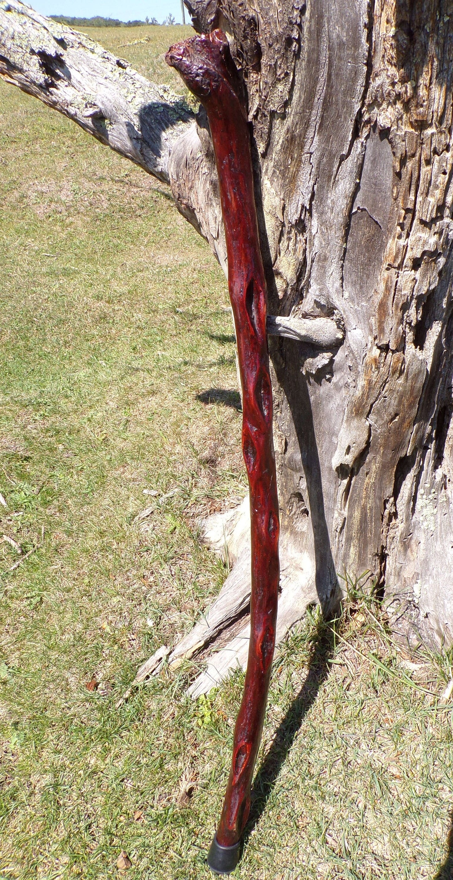 41 Inch Diamond Willow Hiking Staff - Indigenous Carving