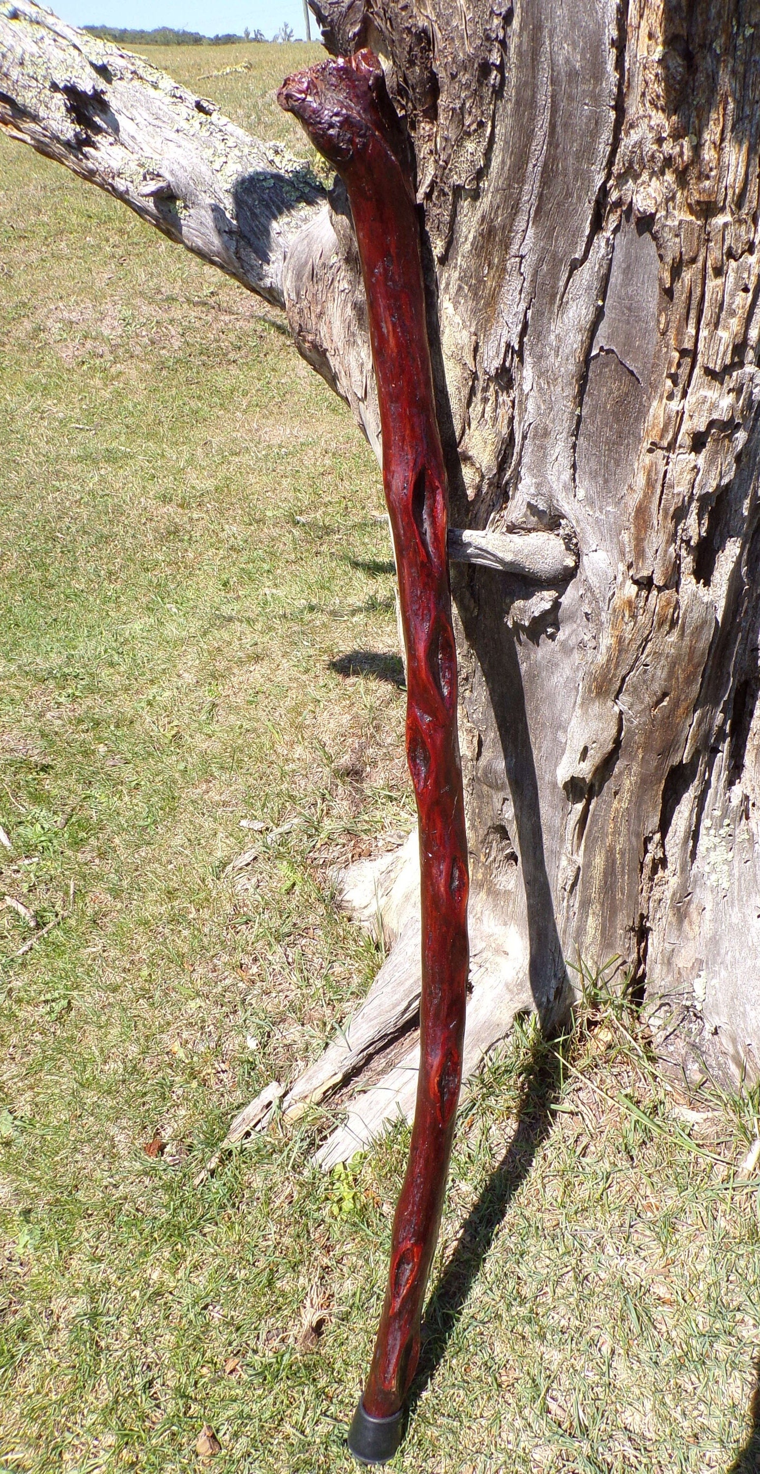 41 Inch Diamond Willow Hiking Staff - Indigenous Carving