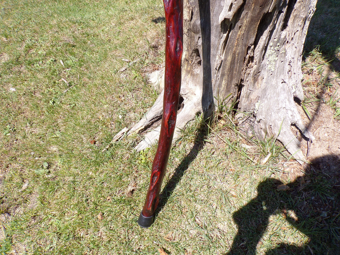 41 Inch Diamond Willow Hiking Staff - Indigenous Carving