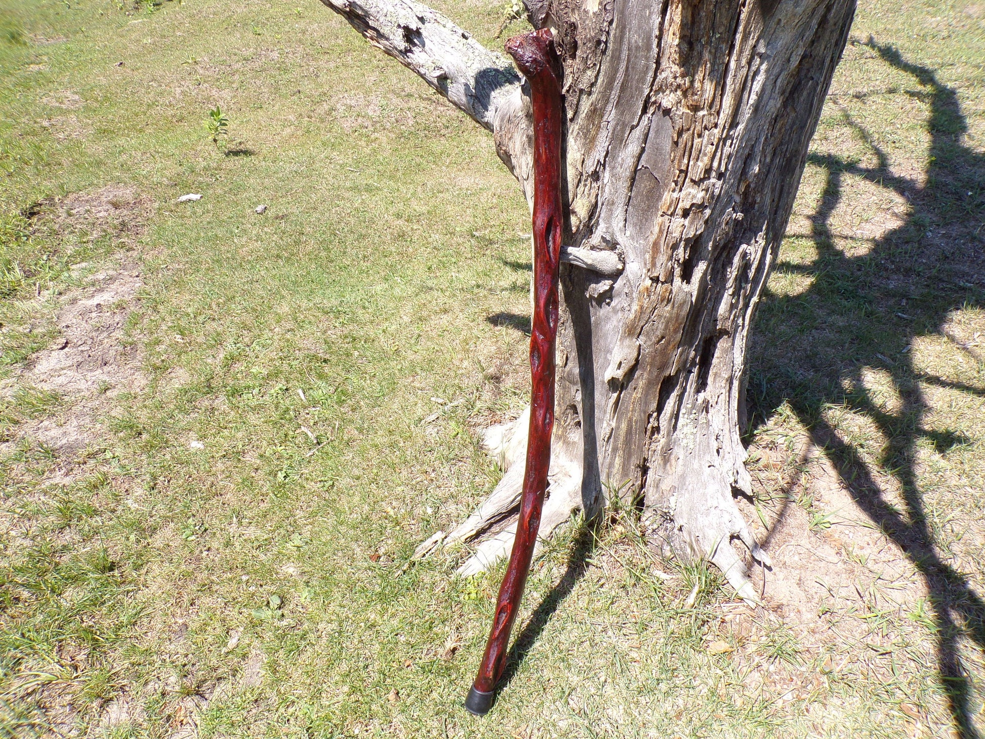 41 Inch Diamond Willow Hiking Staff - Indigenous Carving