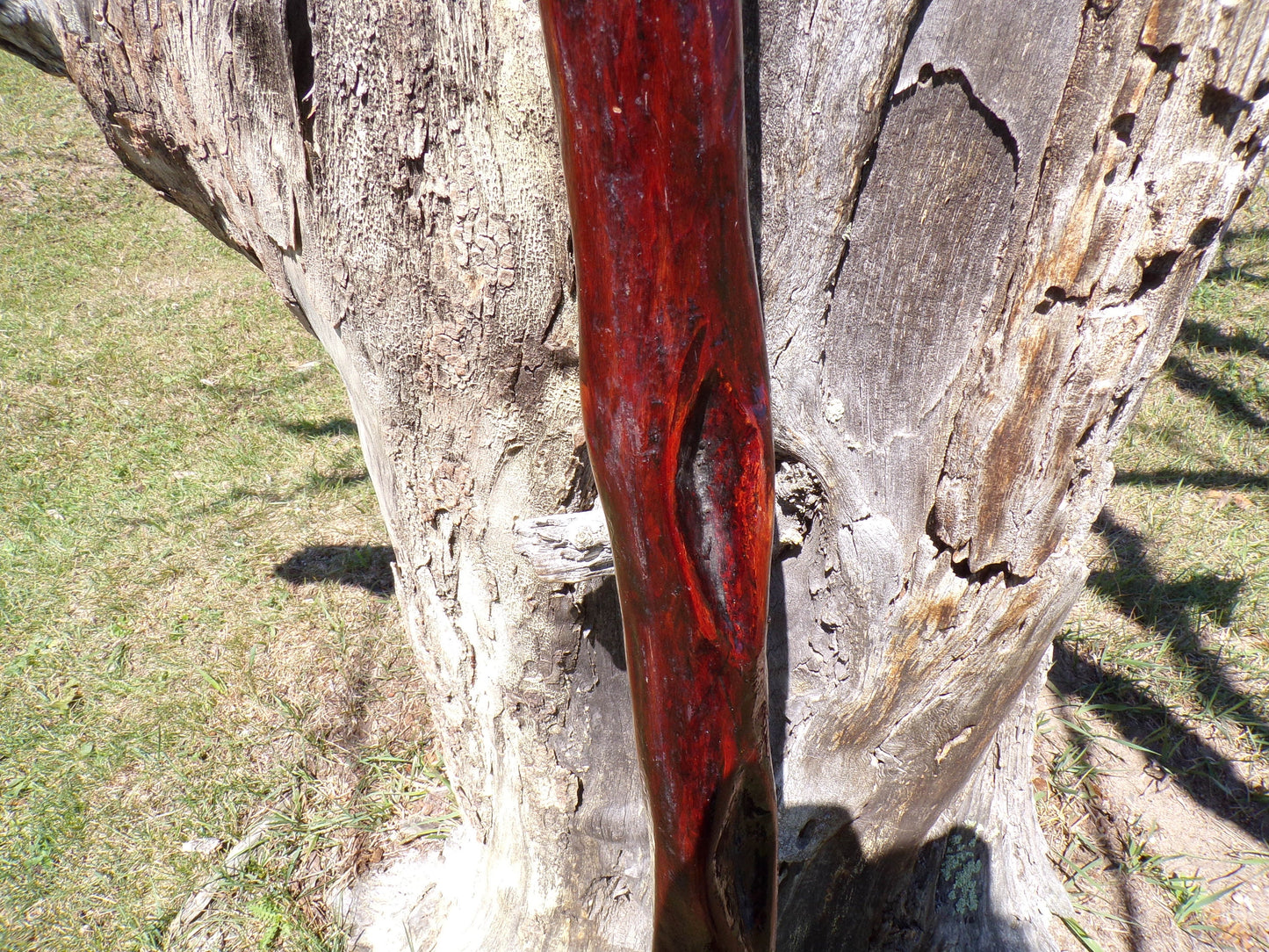 41 Inch Diamond Willow Hiking Staff - Indigenous Carving