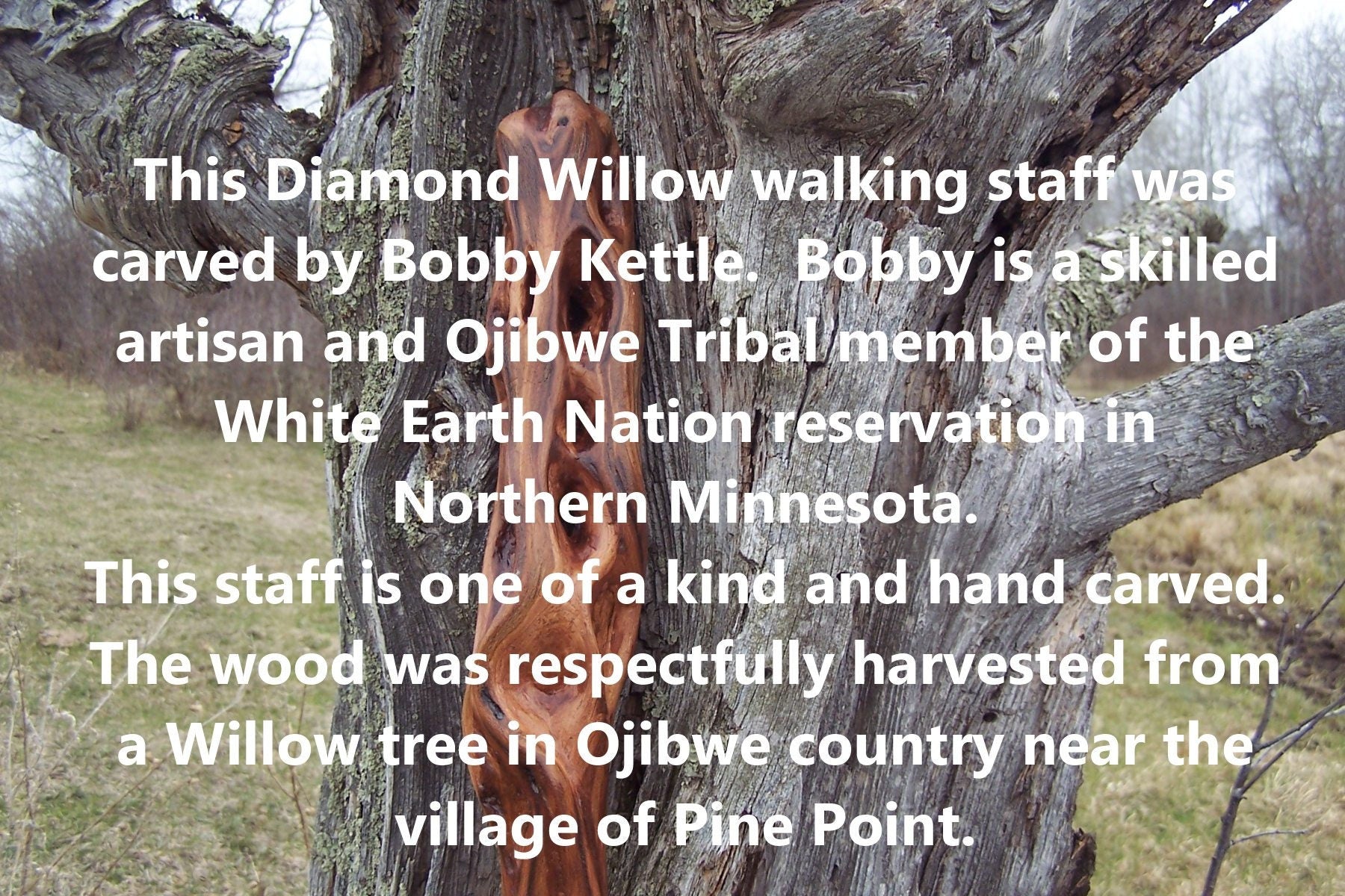 41 Inch Diamond Willow Hiking Staff - Indigenous Carving