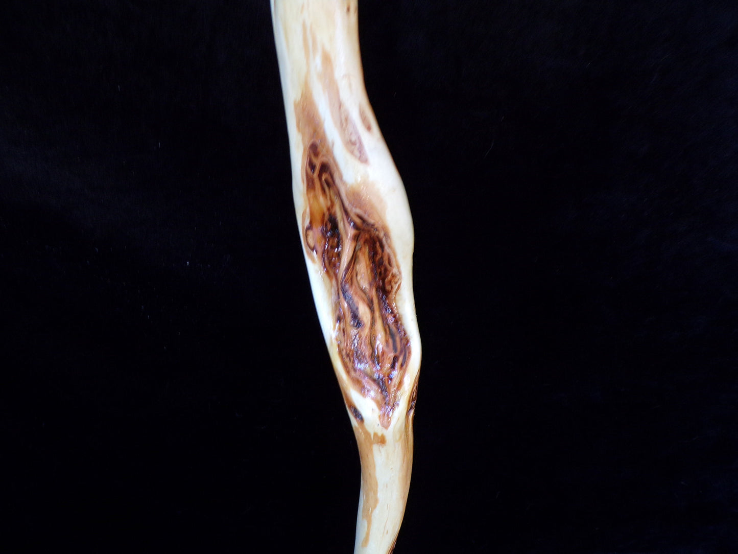 44 Inch Diamond Willow Walking Aid - Ojibwe/Anishinaabe Made