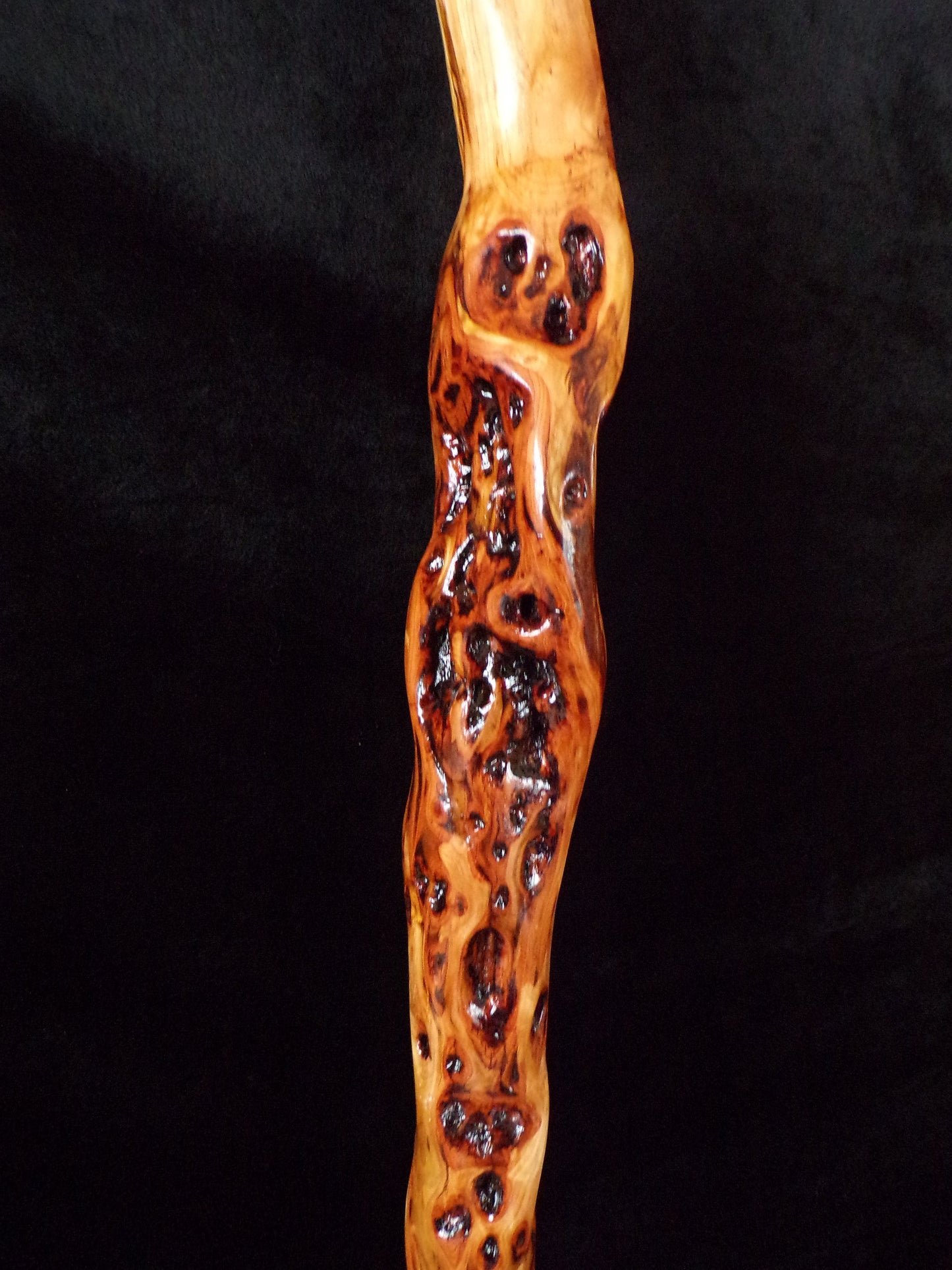 Hand Carved Diamond Willow Walking Stick - Eagle Beak Handle