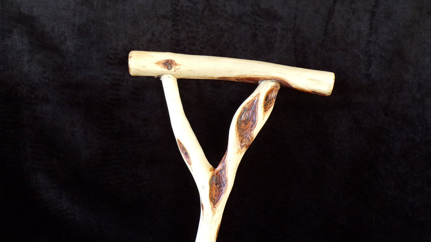 40 Inch Diamond Willow Cane: Anishinaabe Hand Carved Walking Stick