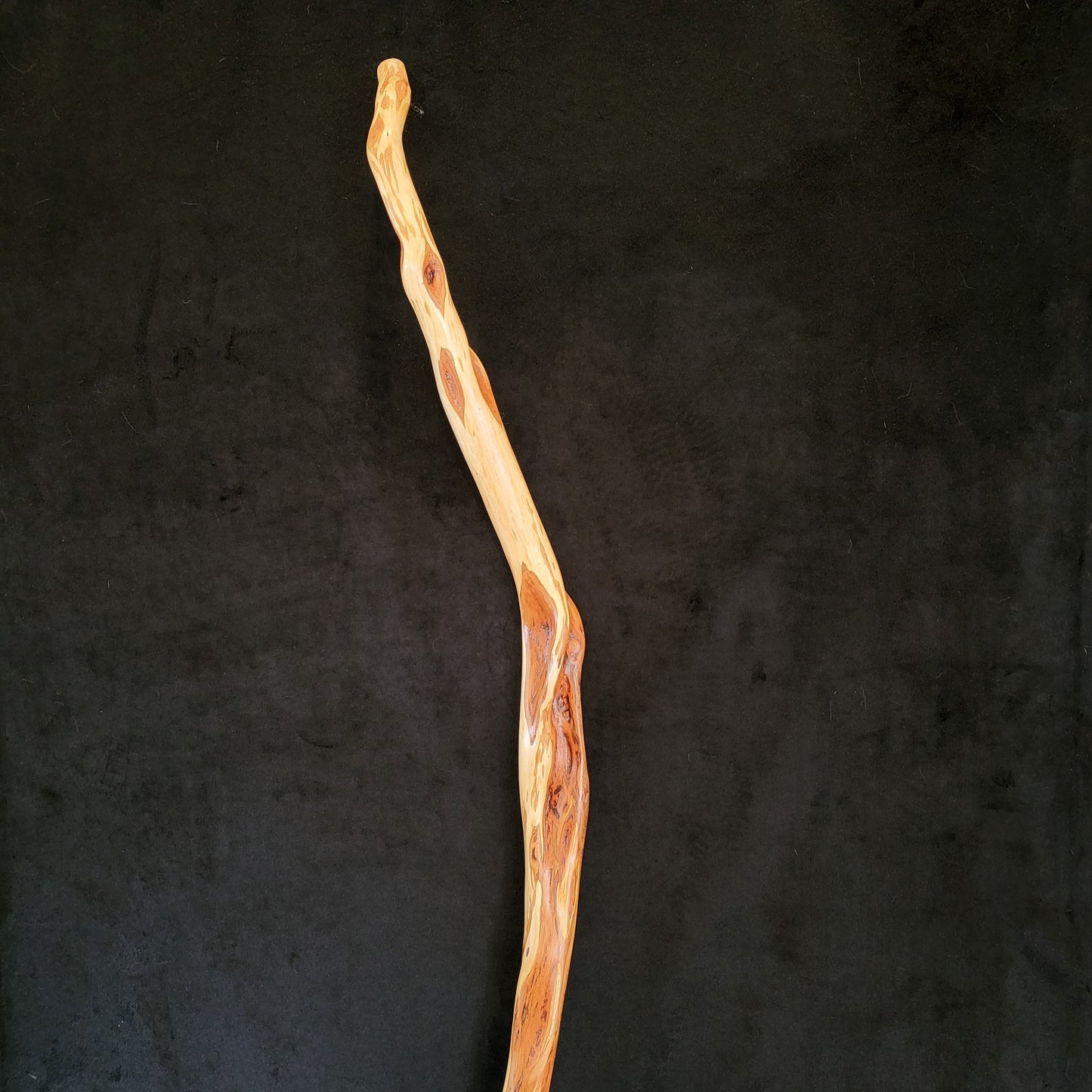 Hand Carved Diamond Willow Hiking Stick - 57 Inch Ojibwe Made