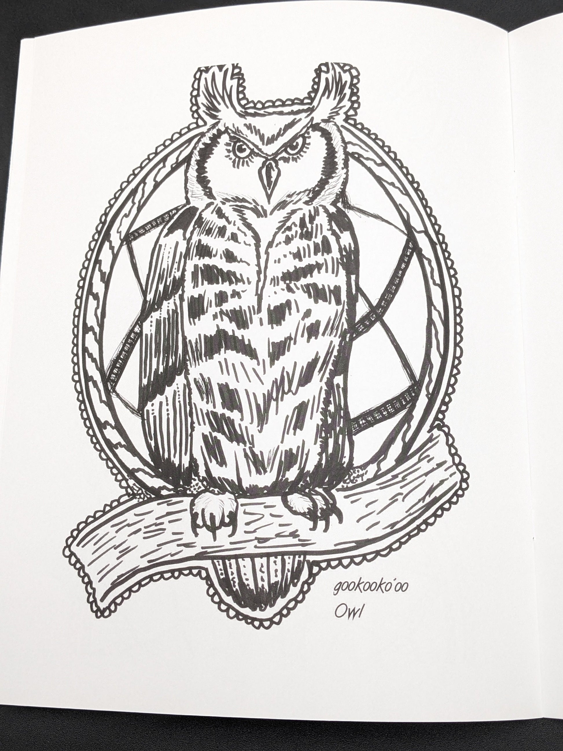 Ojibwe Art Coloring Book: Anishinaabe Traditions by David Edwards