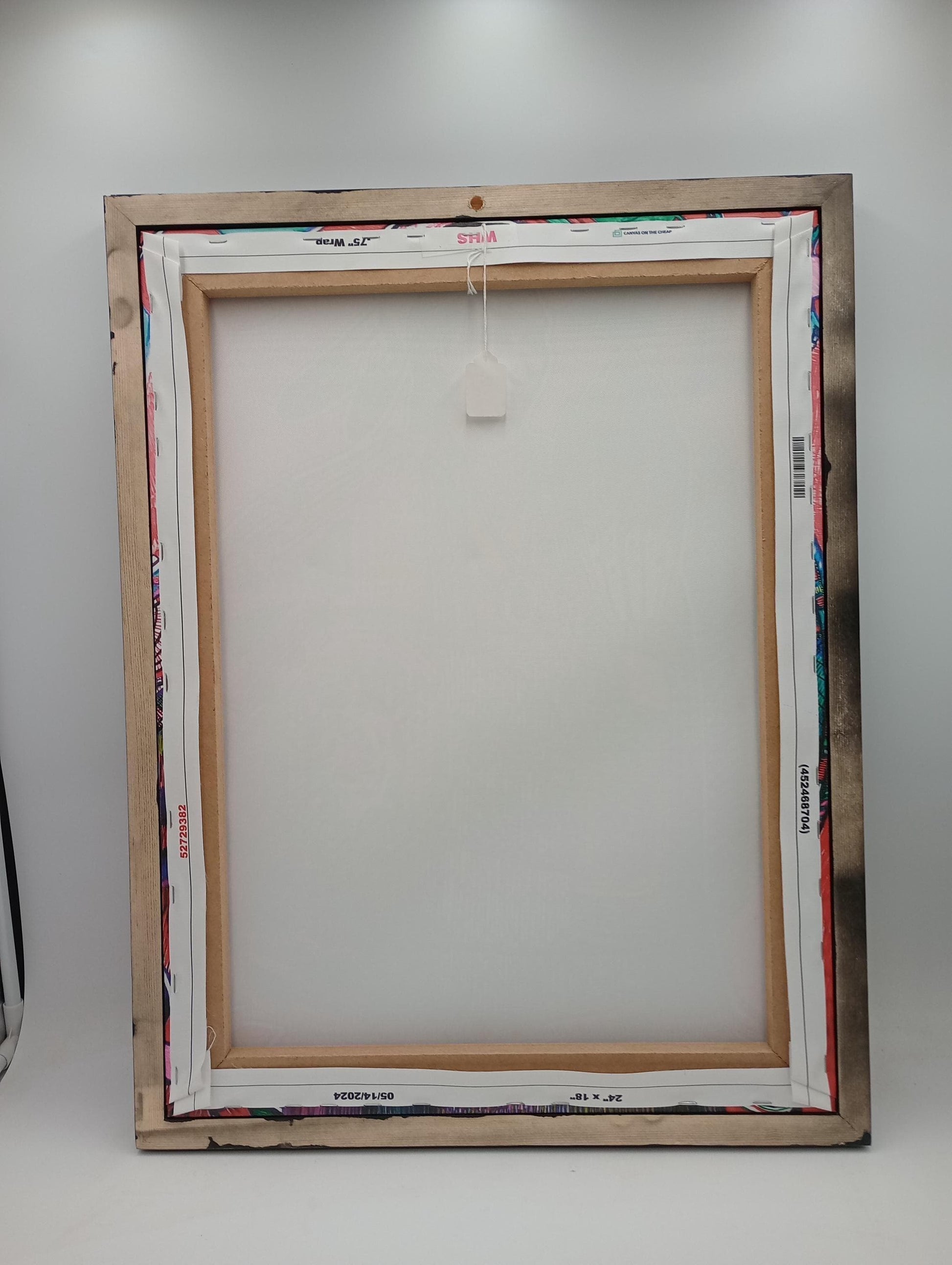 Ojibwe Woman in Regalia Framed Canvas Print by David Edwards (20x26)