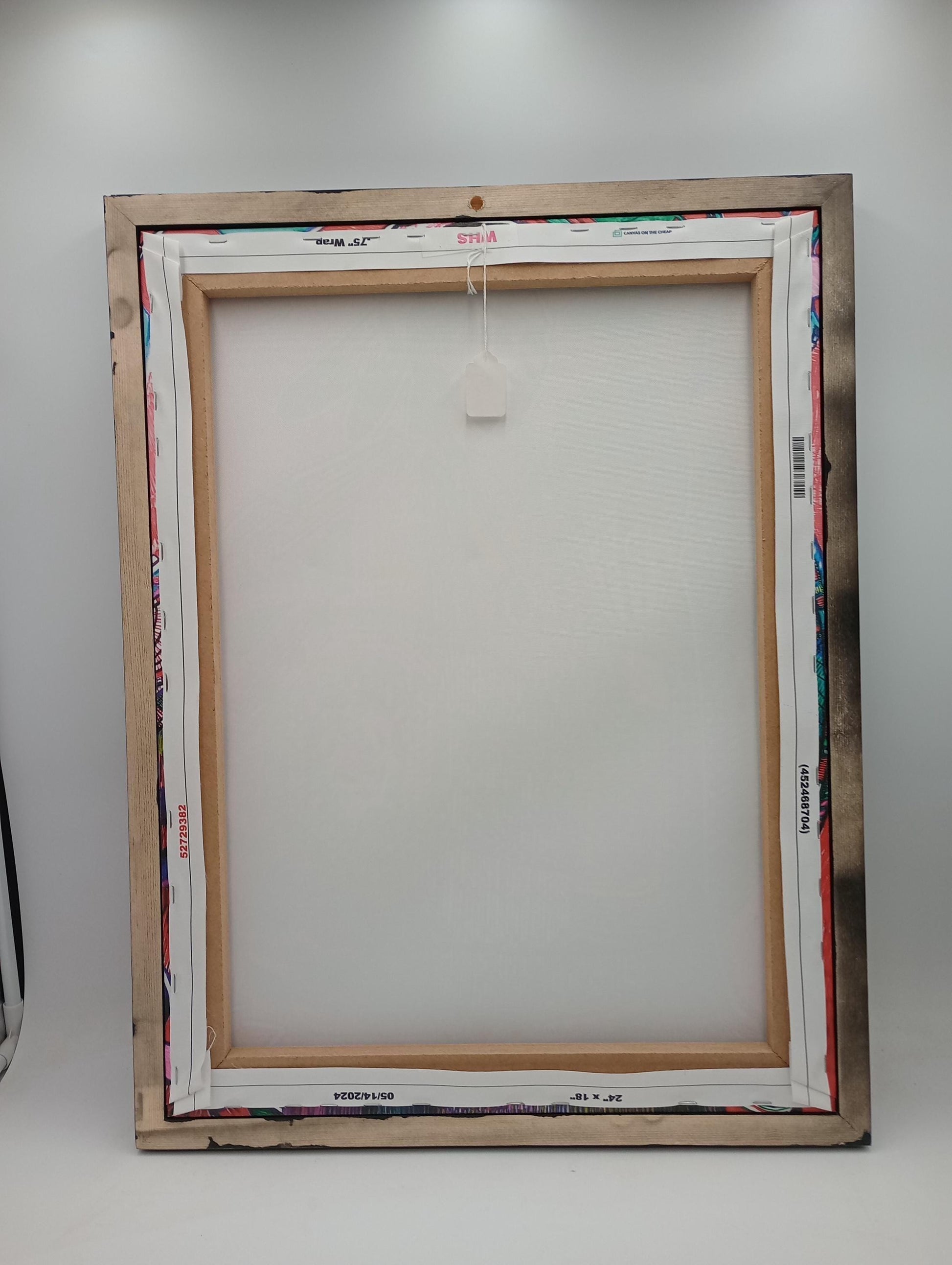 Ojibwe Woman in Regalia Framed Canvas Print by David Edwards (20x26)