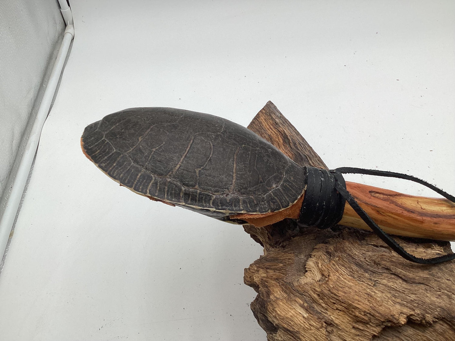 Hand Crafted Turtle Shell Dance Rattle -Ojibwe/Anishinaabe made - Free Shipping