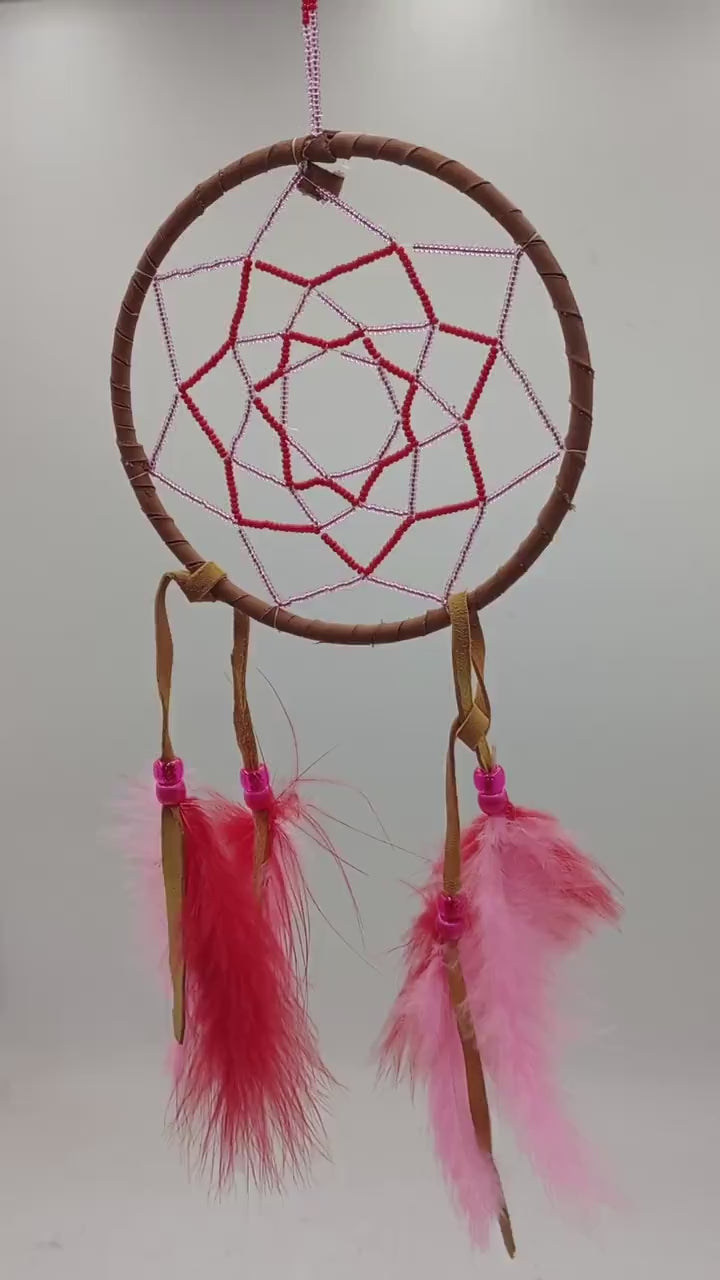Authentic Anishinaabe/Ojibwe Double Beaded Web Dreamcatcher - Free Shipping