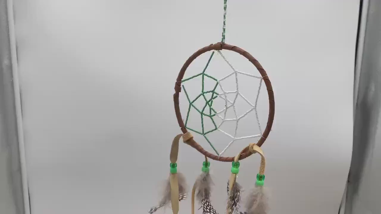 Beaded Web Dreamcatcher-Authentic Anishinaabe/Ojibwe Handcrafted - Free Shipping