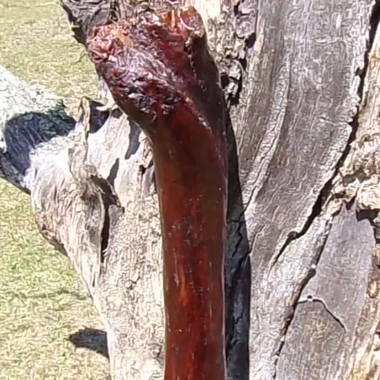 41 Inch Diamond Willow Hiking Staff - Indigenous Carving